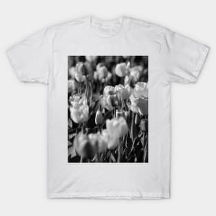 Spring has Sprung-Tulips T-Shirt